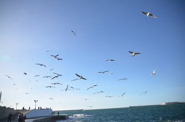 Sevastopol_44