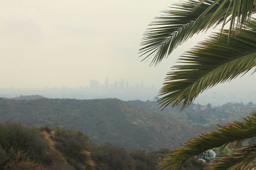 Fototapeta na wymiar Los Angeles downtown skyline view from Griffith Park