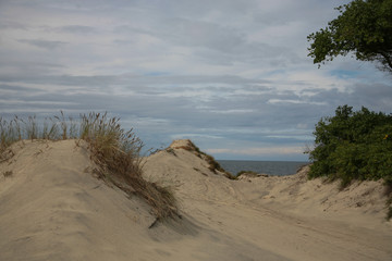 Baltic sea and sand 