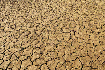 Cracks in drought affected earth