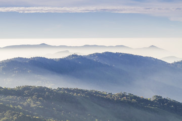 Sunrise in early morning with fog light in the misty forest atop Doi Inthanon in Chiang Mai, Thailand