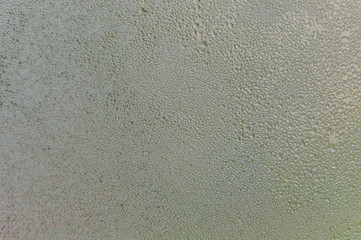  autumn on the horse accumulated water drops, condensation