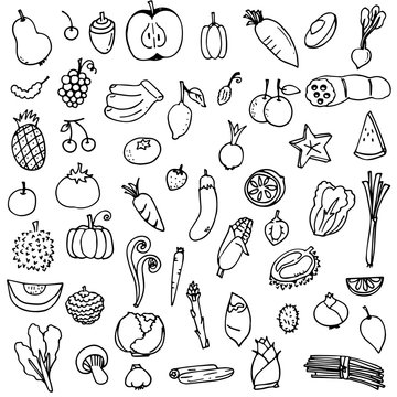 vector illustration set of fruits and vegetables doodle drawn in black outline on white background