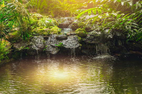 Green Forest with waterfall calm morning sun light beautiful nature background