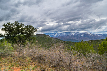 Colors and adventure at Zion National Park, Kolob Canyons Viewpoint, Utah, USA