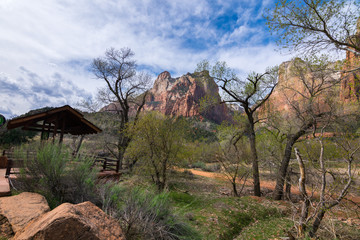 Colors and adventure at Zion National Park, Canyon Junction, Utah, USA