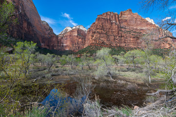 Colors and adventure at Zion National Park,  Emerald Pools Trails, The Grotto, Angels Landing,...