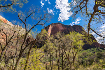 Colors and adventure at Zion National Park,  Emerald Pools Trails, The Grotto, Angels Landing,...
