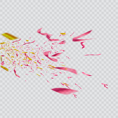 Colorful bright confetti isolated on transparent background. Festive vector illustration