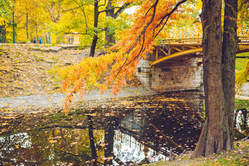 Fototapeta na wymiar Autumn rustic forest landscape. park with river