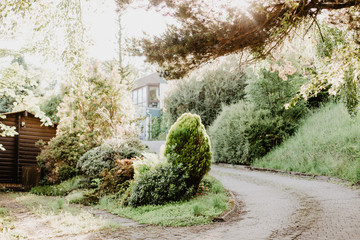 Fototapete bei efototapeten.de bestellen   