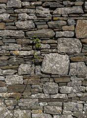 STONE WALL BACKGROUND