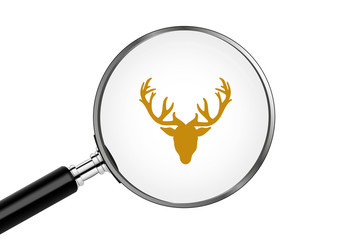 Lupe sucht/findet - Hirschkopf