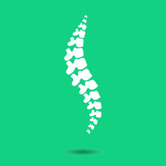 Human spine isolated on a green background. Vector illustration. White  silhouette spine diagnostic symbol, design, sign. Diagnostic center vector human spine silhouettes Spine. Logo element
