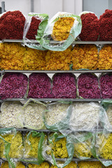 fleurs hivers automne decoration cimetiere toussaint fete couleurs gel marche vente saison climat meteo