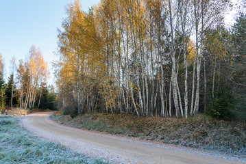 Fototapeta premium Counryside in cold autumn morning.