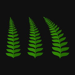 Green Fern Leaf Set