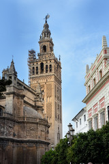 Fototapeta na wymiar Torre de la Giralda, Catedral de Sevilla, España