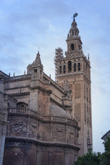 Fototapeta premium Torre de la Giralda, Catedral de Sevilla, España