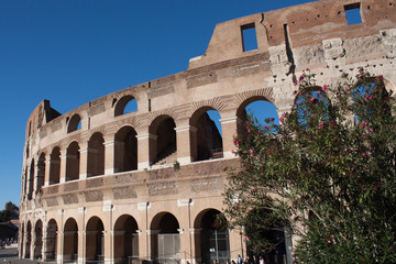 Fototapeta premium partial view of italian roman monument with a tree, rome italy