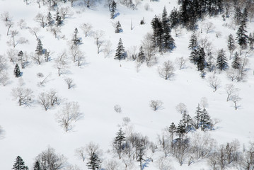 冬の日勝峠（北海道）
