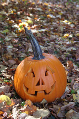 Zucca di Halloween su sfondo autunnale