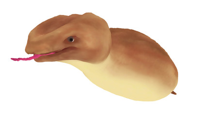 日本の未確認生物　UMA　ツチノコ　水彩画風イラスト　斜め前から