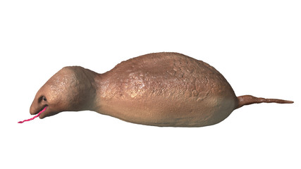 日本の未確認生物　UMA　ツチノコ　3Dイラスト　横から