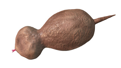 Japanese famous monster Tsuchinoko 3D illustration top