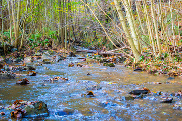 Small stream waterfall in Norway. Autumn colors.