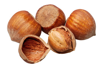 Group of nuts on a white background