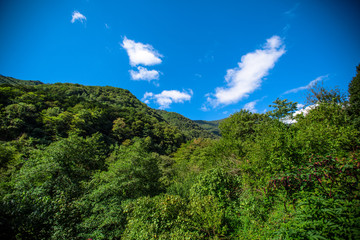 mountains trees greenery clouds