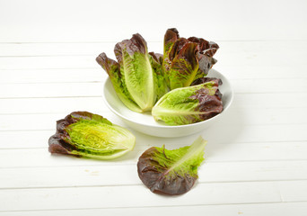 fresh Romaine lettuce