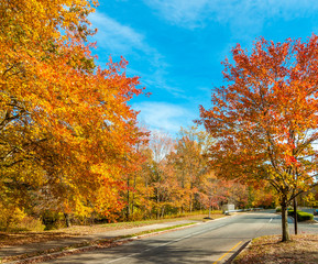 Obraz premium Colors of the fall