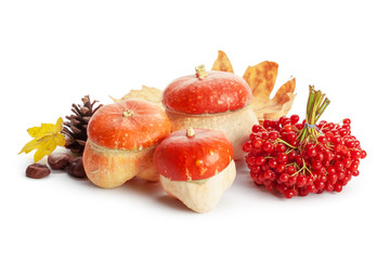 Autumn display with pumpkin and leaves isolated on white background