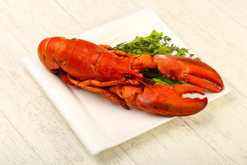 Lobster