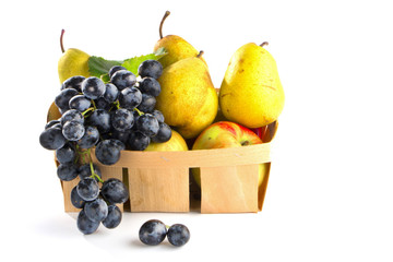 autumnal fruit in basket isolated on white background