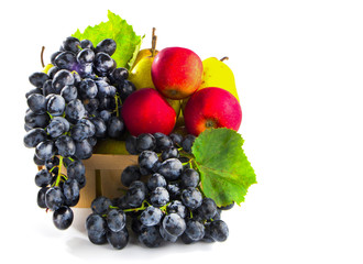autumnal fruit in basket isolated on white background