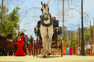 Fototapeta na wymiar Caballo tirando de un carruaje en la Feria del Caballo, en Jerez de la Fontera (Cadiz)