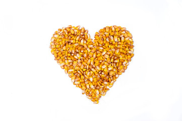 mature corn on a white background