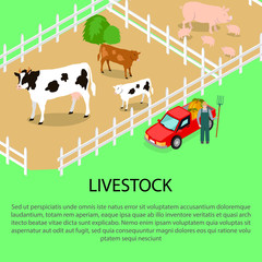 Farm with Livestock and Text Information below