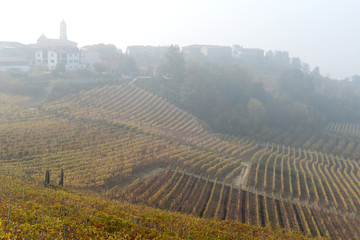 Autumnal landscape of vines and hills in Langhe, Northern Italy