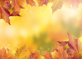 Naklejka na ściany i meble Blurred bright autumn background. Abstract colorful bokeh