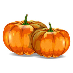 Pumpkins on white background
