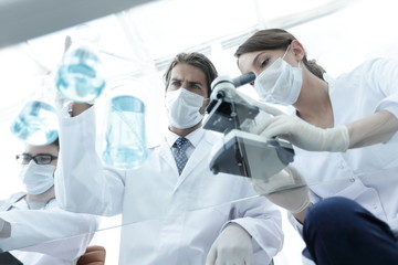 scientists conducting research in a lab environment