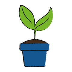 plant in a pot icon