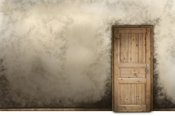 wooden door - 178242466