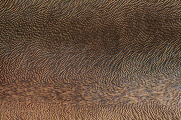 Texture of a vintage brown leather retouched retoucher close-up