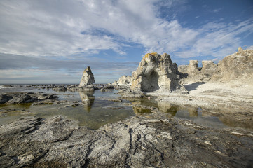 Korallenst&ouml;cke auf Gotland