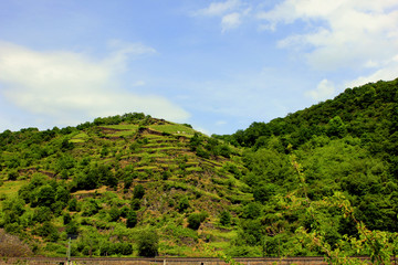 les collines au bord du rhin en allemagne